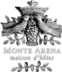 logo Monte Arena